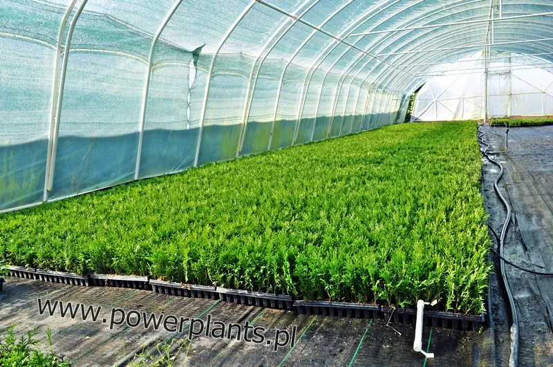 Descrizione della diapositiva 3